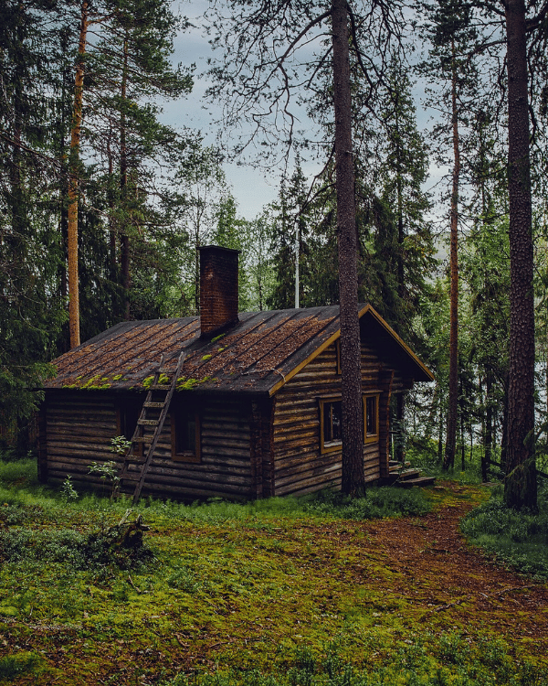 Cabane d'observation des ours en Mauricie - Itinéraire Québec, Canada - PandaManta - Blog voyage