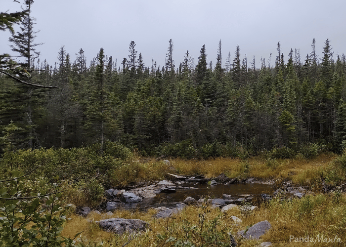 Parc de la Gaspésie - Itinéraire Québec, Canada - PandaManta - Blog voyage