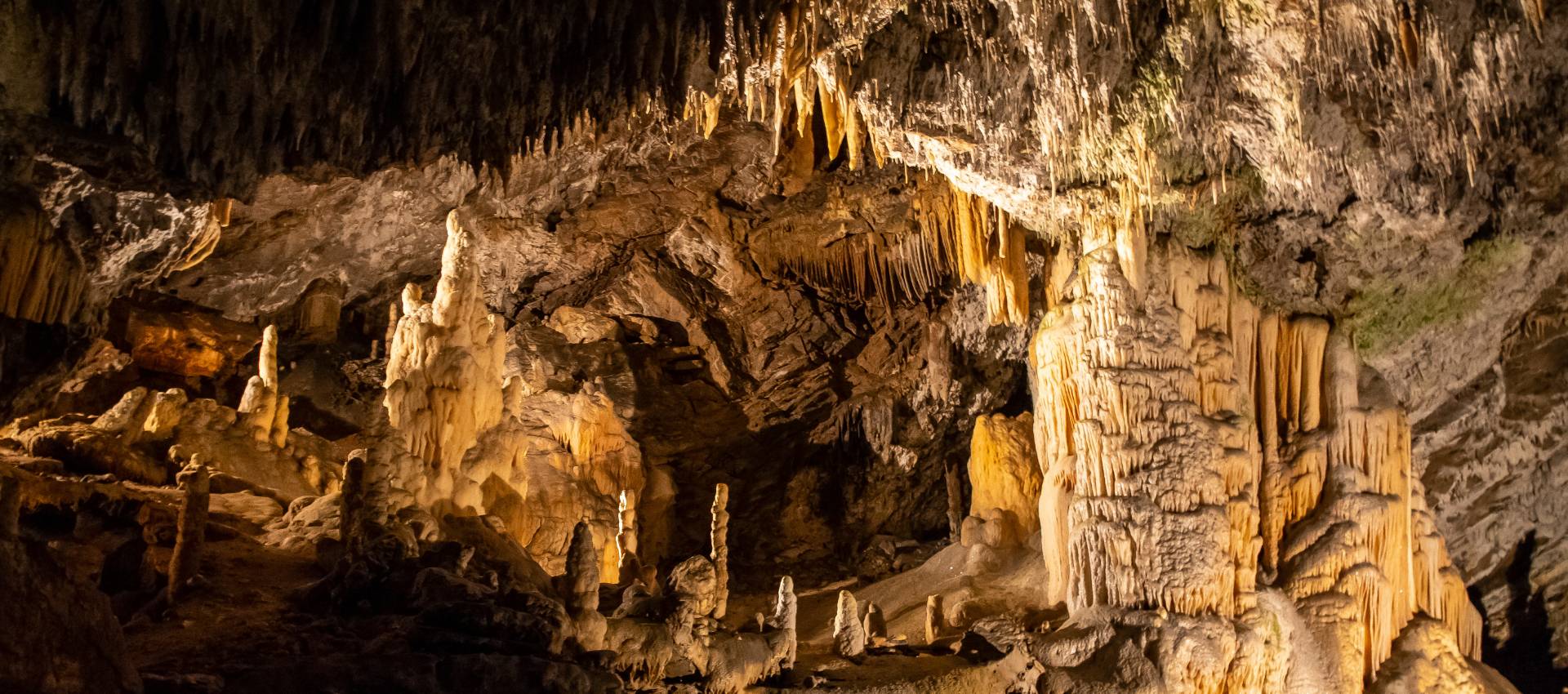 Paysage Slovénie - Grottes de postojna - PandaManta Blog