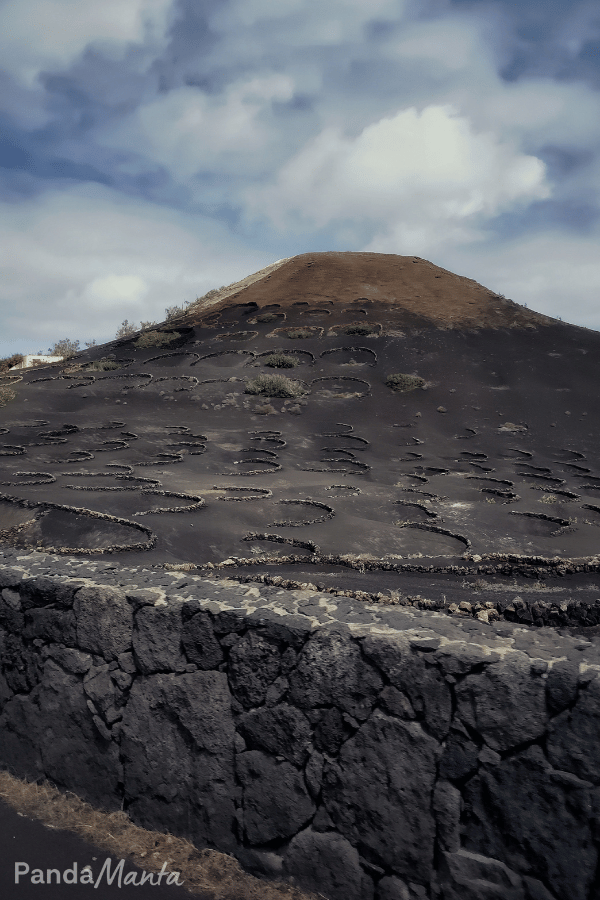 Lanzarote - La Geria - PandaManta Blog Voyage