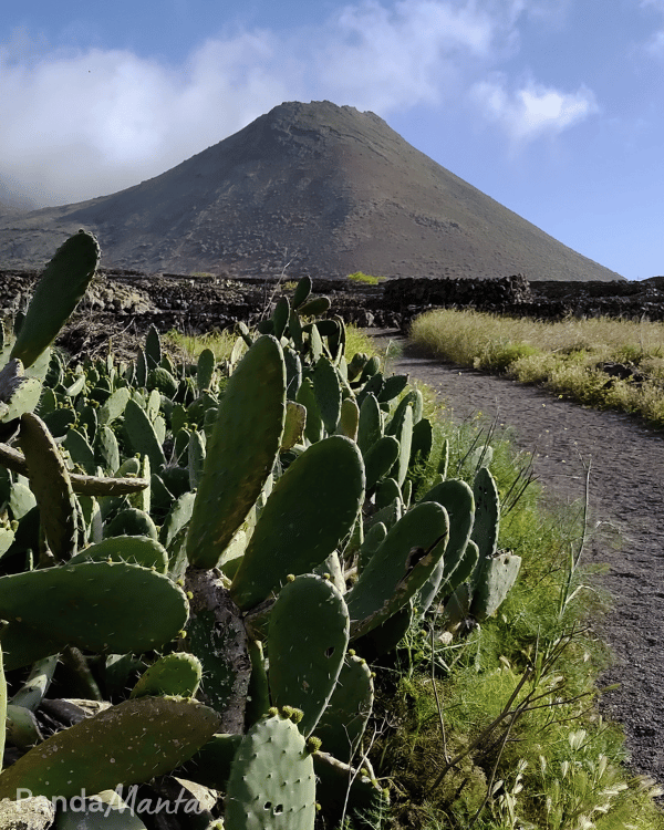 Lanzarote - Montana Corona - PandaManta - Blog Voyage