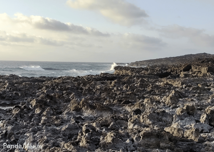 Lanzarote - Playa del Paso - PandaManta Blog Voyage