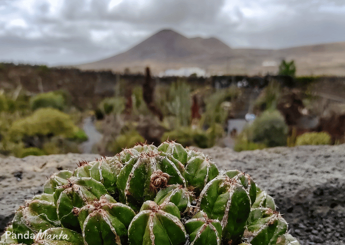 Que faire à Lanzarote ? Le guide complet