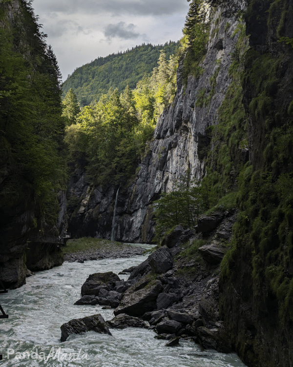 Gorges de l'Aar - Roadtrip Suisse - PandaManta Blog Voyage