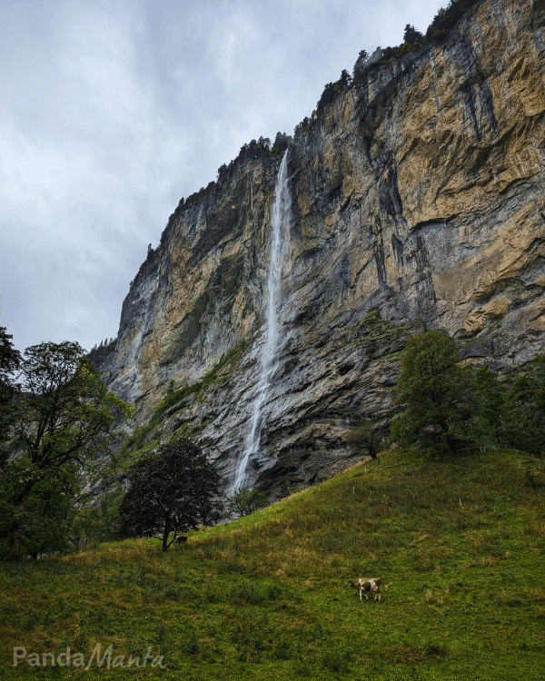 Cascade Staubbach - Lauterbrunnen - Roadtrip Suisse - PandaManta Blog Voyage