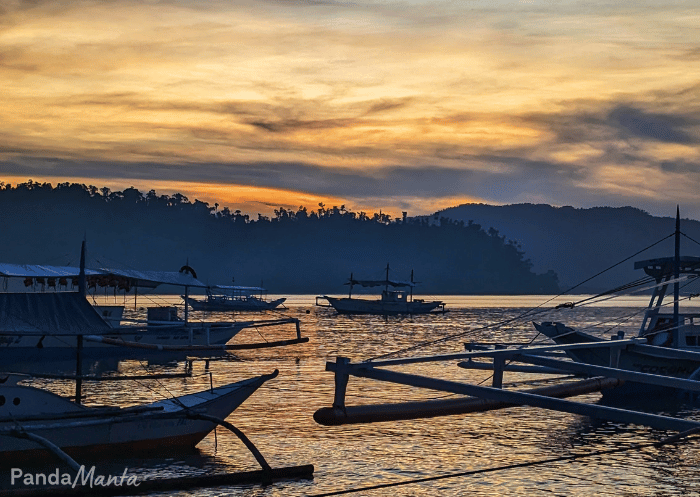 Guide : Port Barton, village de pêcheurs à Palawan (Philippines)