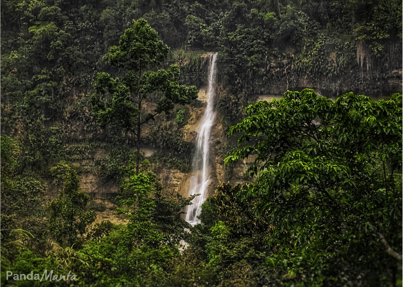 Philippines_Bohol_can-unmantad_falls_pandamanta_blog