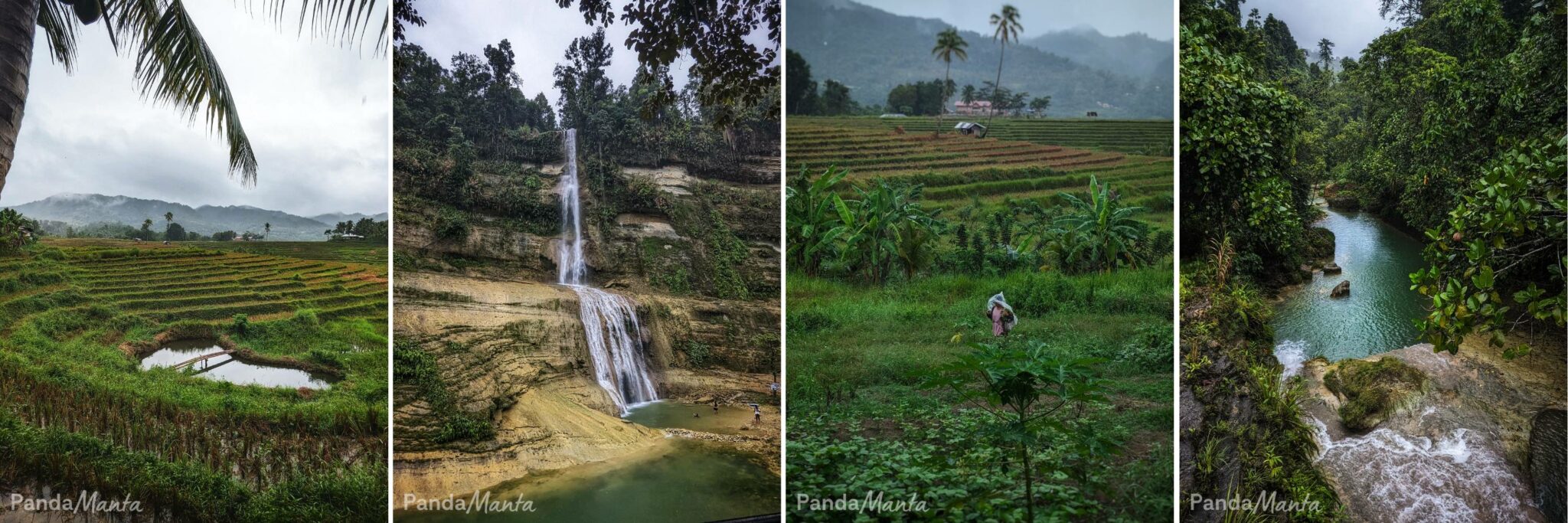 4 images de Bohol, Philippines - PandaManta - Blog voyage