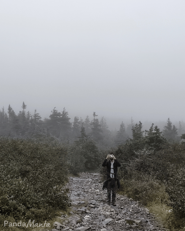 Dans la brume du Mont Jacques Cartier - Itinéraire Québec, Canada - PandaManta - Blog voyage