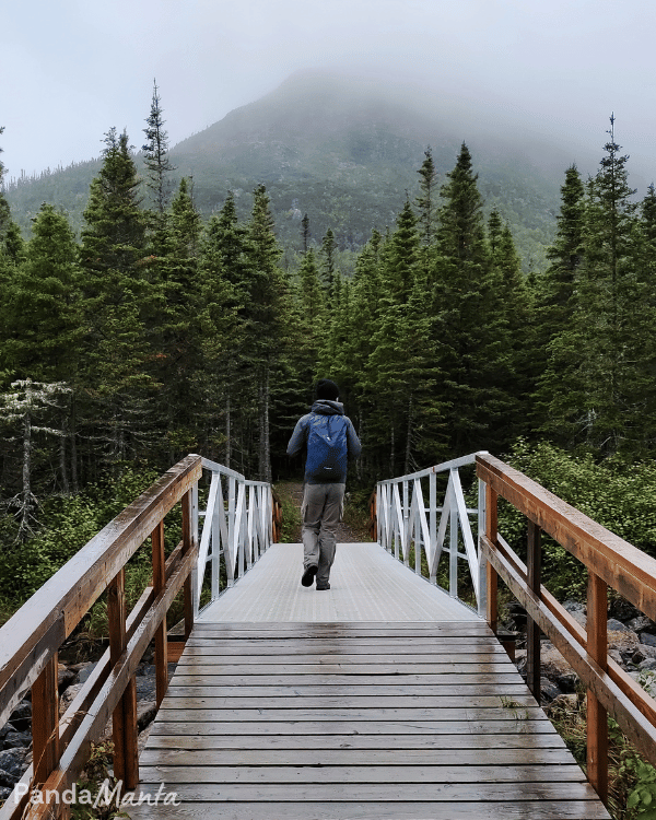 Parc de la Gaspésie - Itinéraire Québec, Canada - PandaManta - Blog voyage