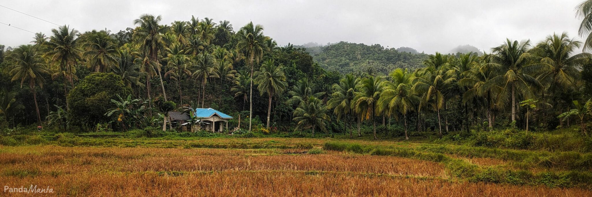 Philippines - Guide - Bohol Centre