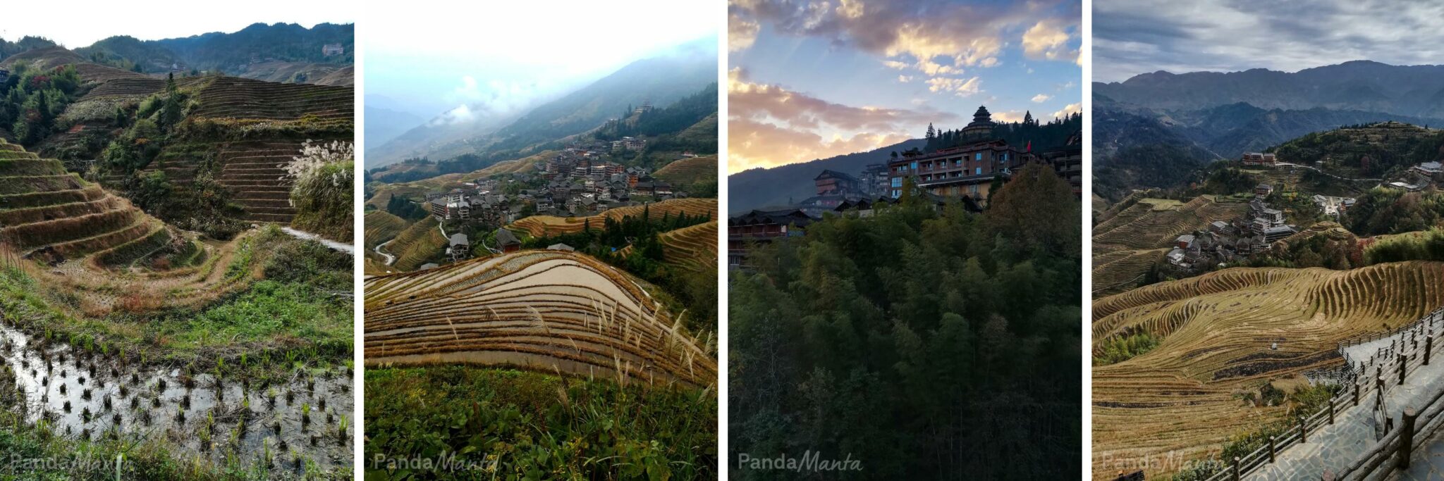 Trek dans les rizières de Longji en Chine