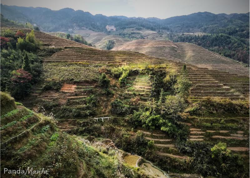 Rizières de Longji en Chine