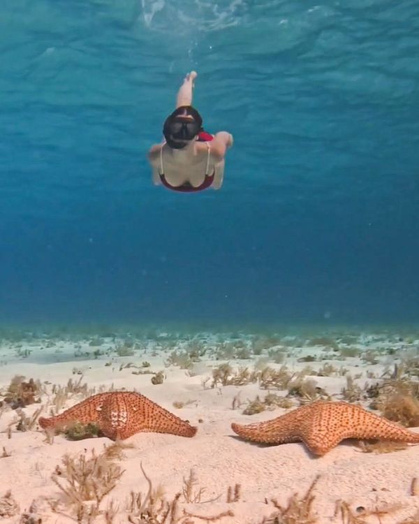 Snorkeling2_ElCiel_Isla_Cozumel_pandamanta_blog