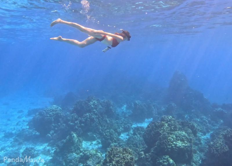 Snorkeling à Isla Cozumel - Que faire à Isla Cozumel ?
