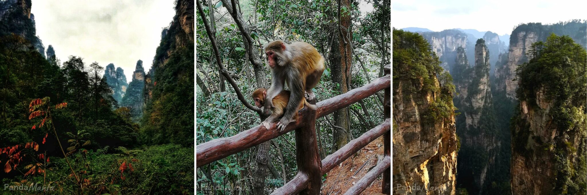 Le parc naturel de Zhiangjiajie, décor du film Avatar - Chine