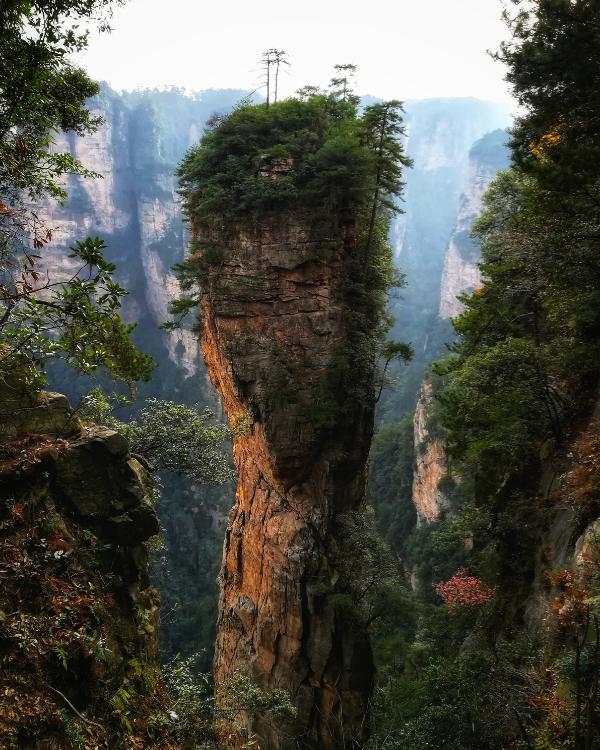 Parc naturel de Zhangjiajie en Chine