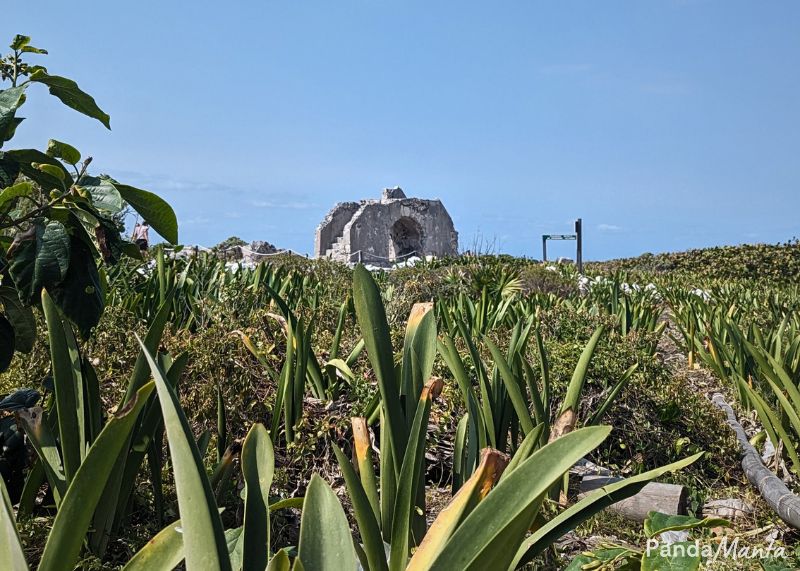 Site archéologique du parc Punta Sur