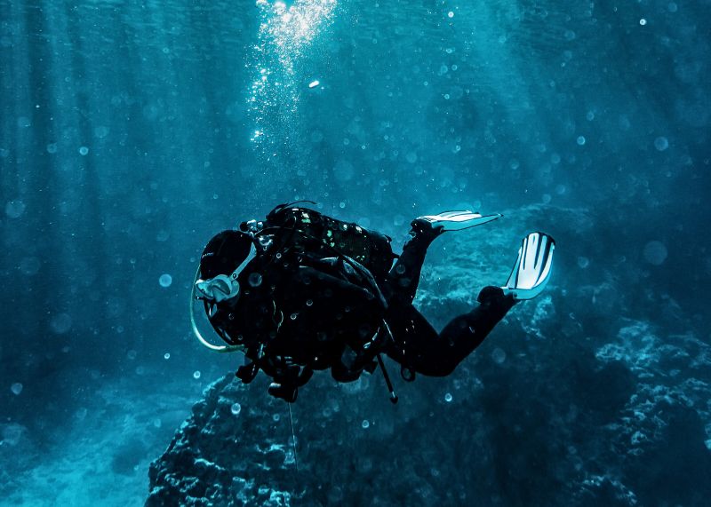 Plongée à Isla Cozumel