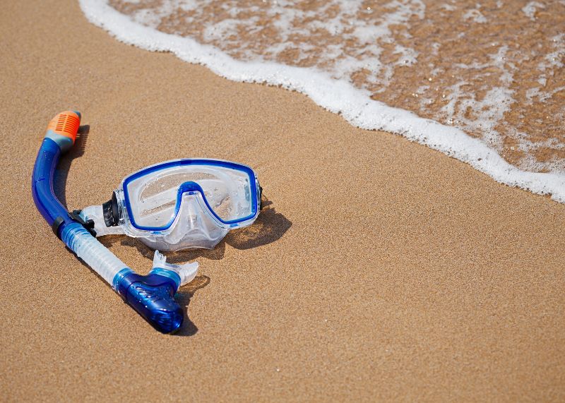Faire du snorkeling depuis les plages d'Isla Cozumel