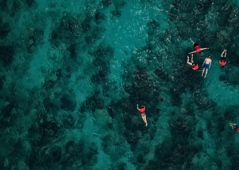 Snorkeling au-dessus des récifs à Isla Cozumel