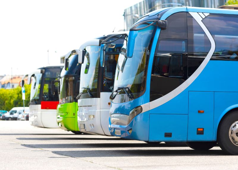 Bus colorés