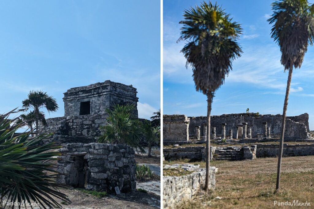 Ruines de Tulum, entre pierre en palmiers