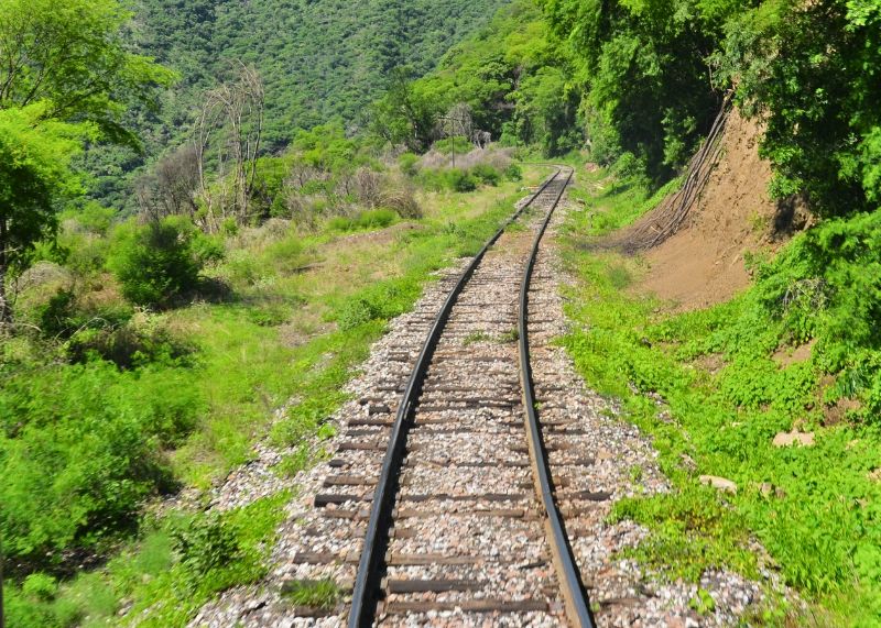 Rails de train dans la forêt mexicaine