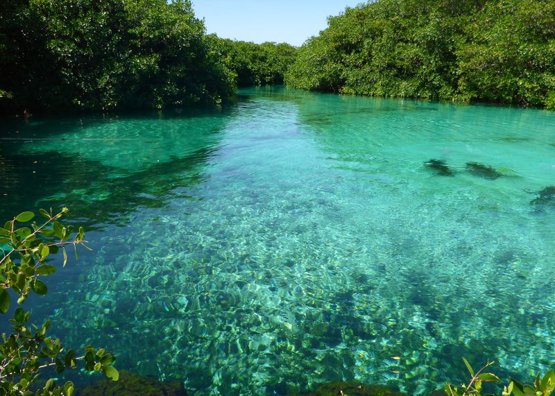 Cenote Santa Rosa au Mexique