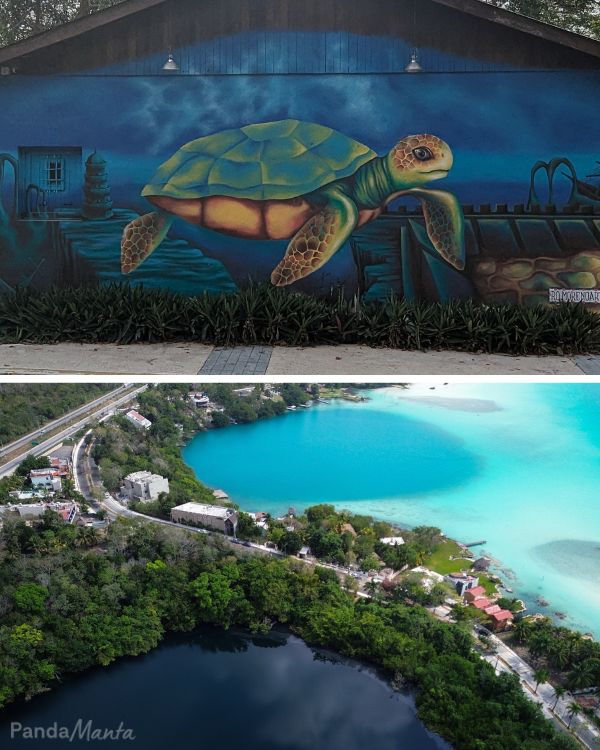 Fresque avec tortue sur une maison et cenote azul à Bacalar au Mexique