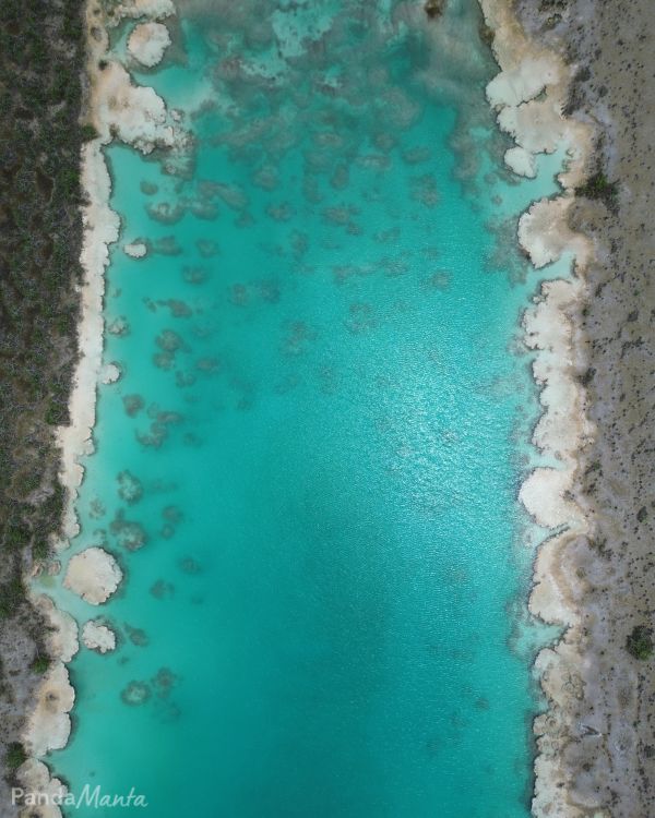 Rivière turquoise : Los Rapidos de Bacalar au Mexique