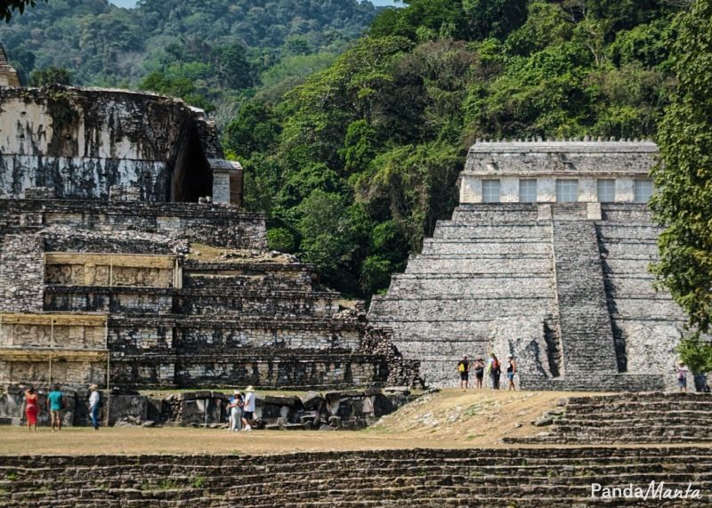Zone archéologique de Palenque au Mexique