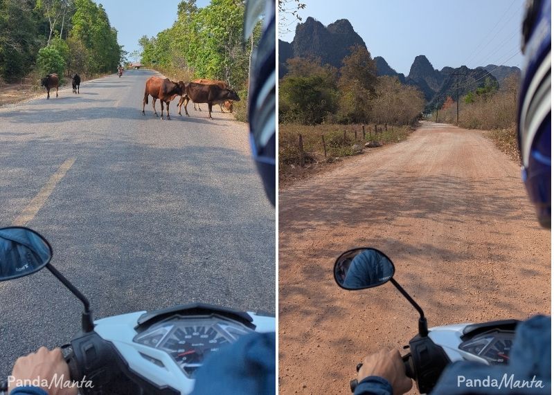 Permis international et conduite en scooter - PandaManta - Blog voyage