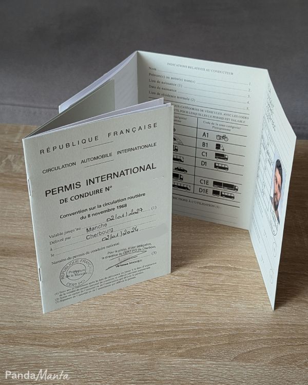 Nos permis internationaux - PandaManta - Blog voyage