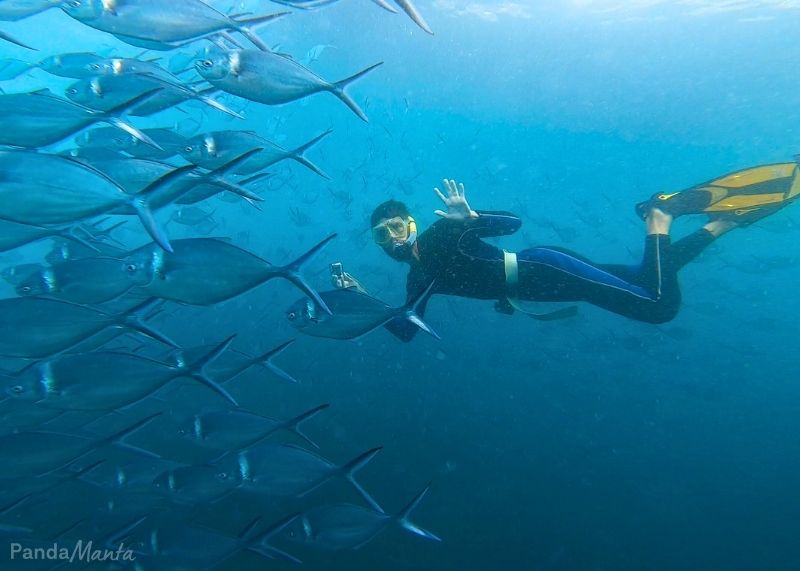 Snorkeling aux Galapagos - Pandamanta - Blog voyage