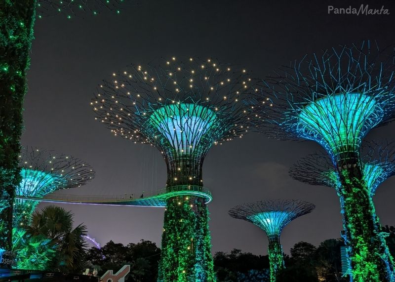Jardin botanique futuriste de Singapour - PandaManta - Blog voyage