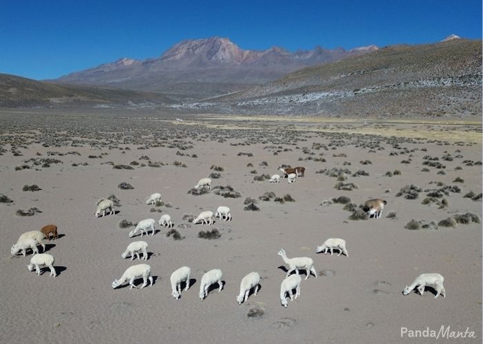 A refaire au Pérou - PandaManta - Blog voyage