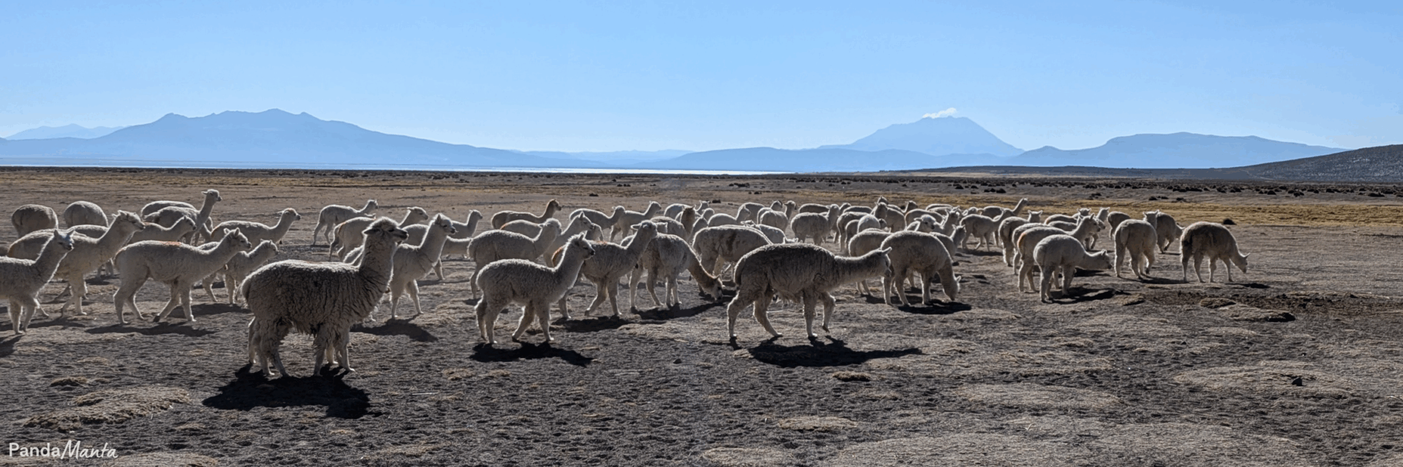 Destination Pérou - PandaManta - Blog voyage