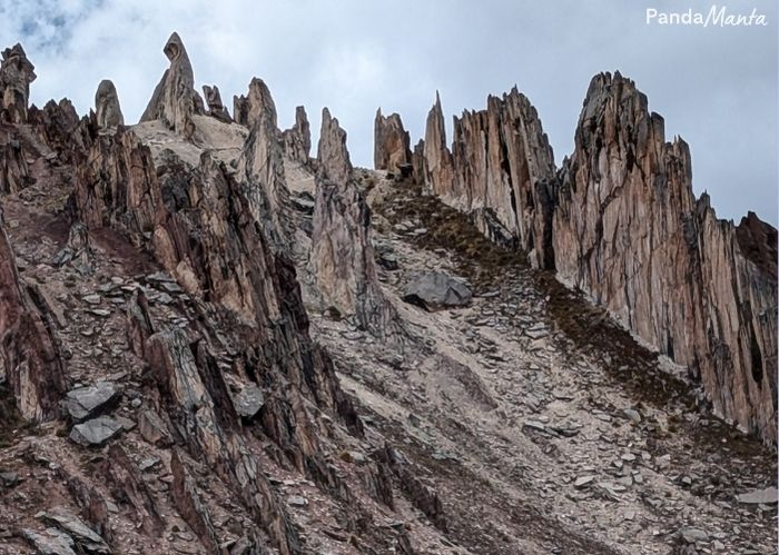 Forêt de pierre de Palcoyo - PandaManta - Blog voyage