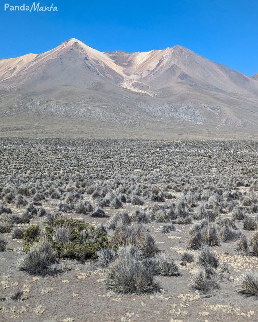 Laguna de Salinas y Aguada Blanca - PandaManta - Blog voyage