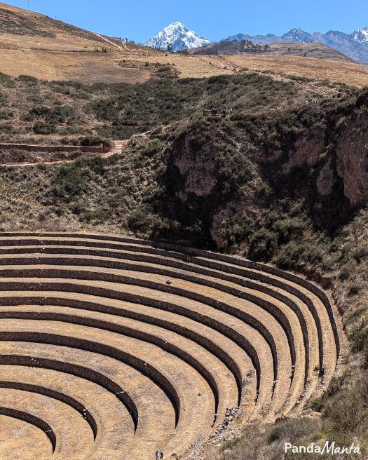 Moray - PandaManta - Blog voyage