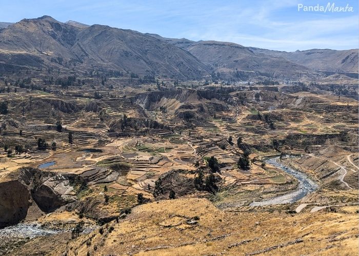 Vallée de Colca - PandaManta - Blog voyage