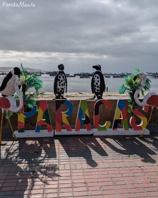 Paracas au Pérou - PandaManta - Blog voyage