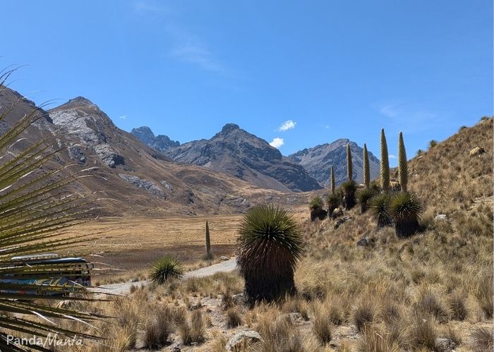 Parc Huasacaran - PandaManta - Blog voyage