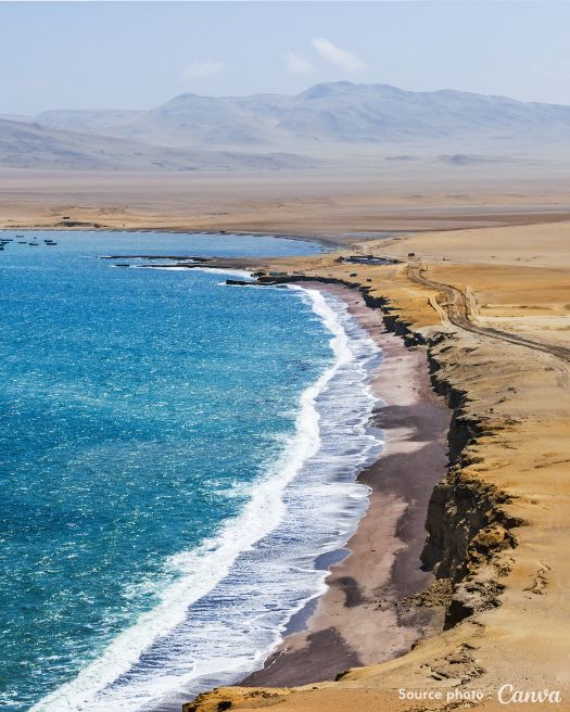 Réserve de Paracas - PandaManta - Blog voyage