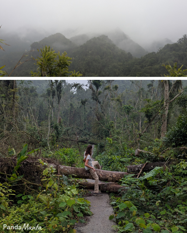 Parc national de Cat Ba - PandaManta - Blog voyage