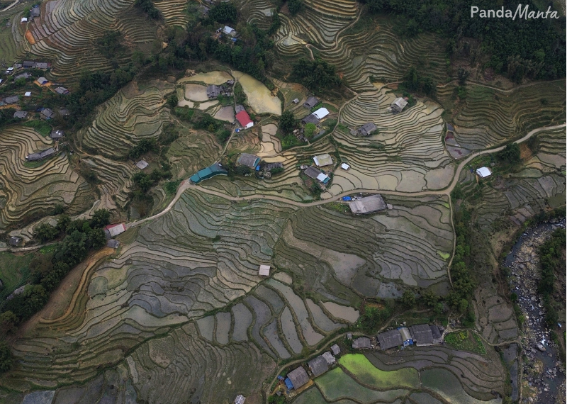 Rizières à Sapa - PandaManta - Blog voyage